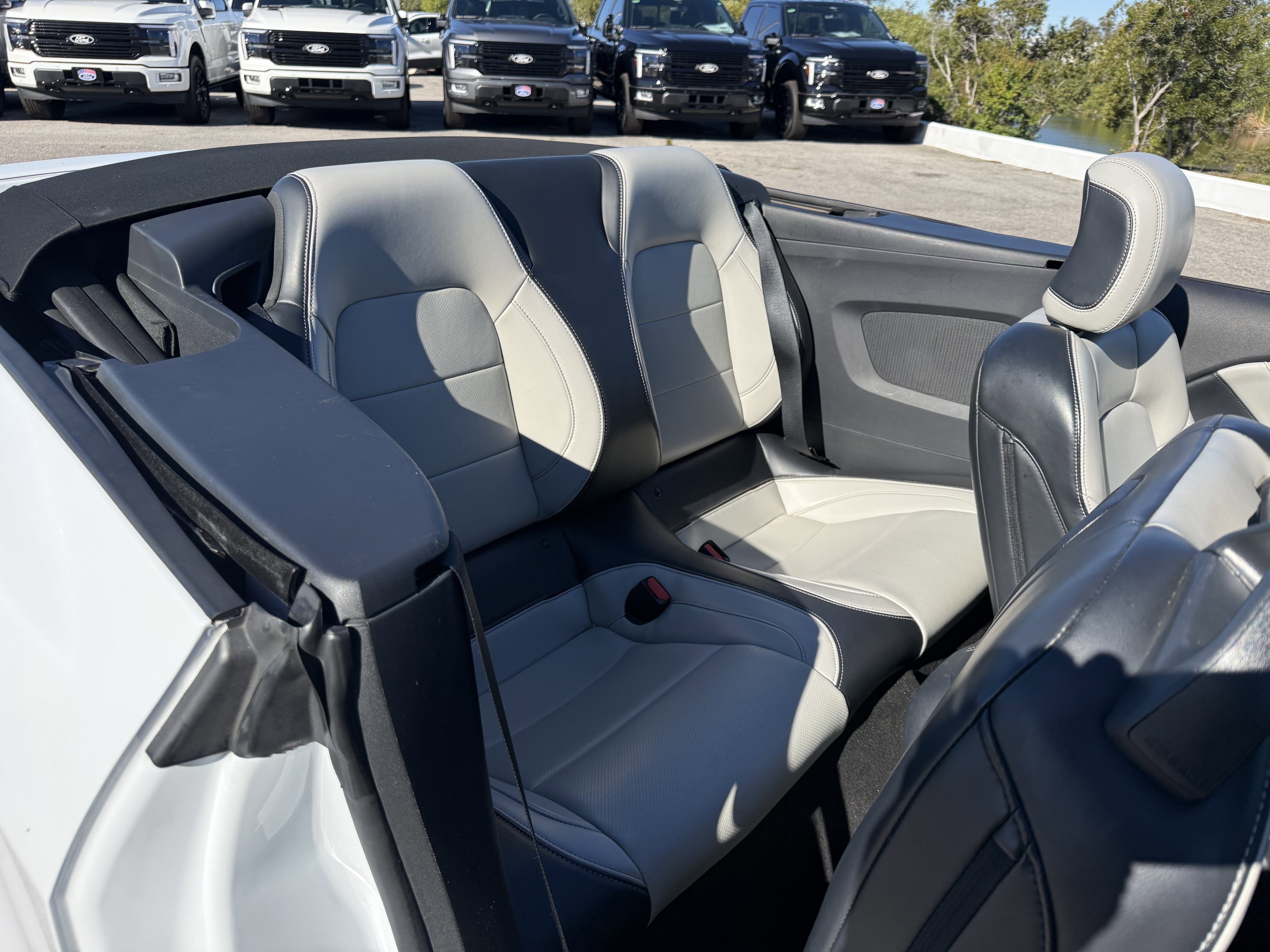 Certified 2024 Ford Mustang Premium image 15