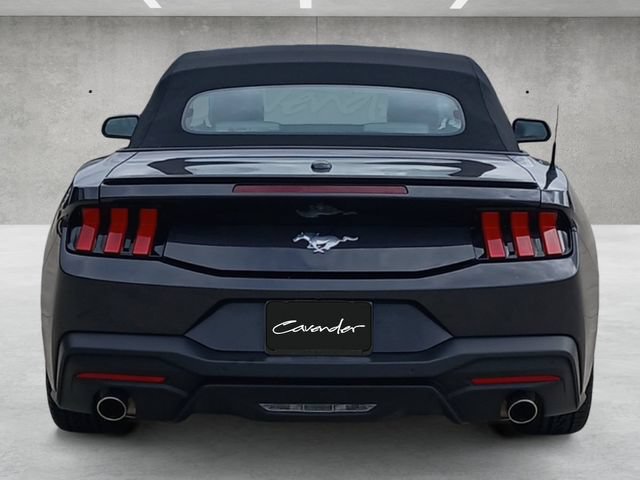 Certified 2024 Ford Mustang Premium RWD image 16