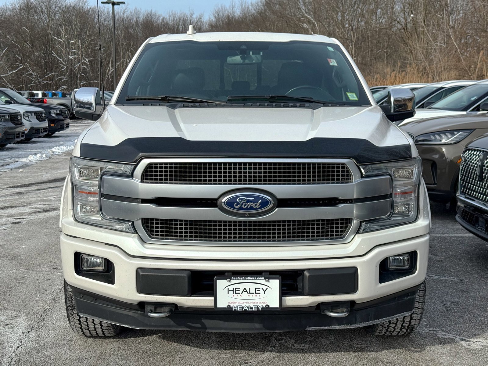Certified 2019 Ford F150 Platinum w/ Equipment Group 701A Luxury image 8