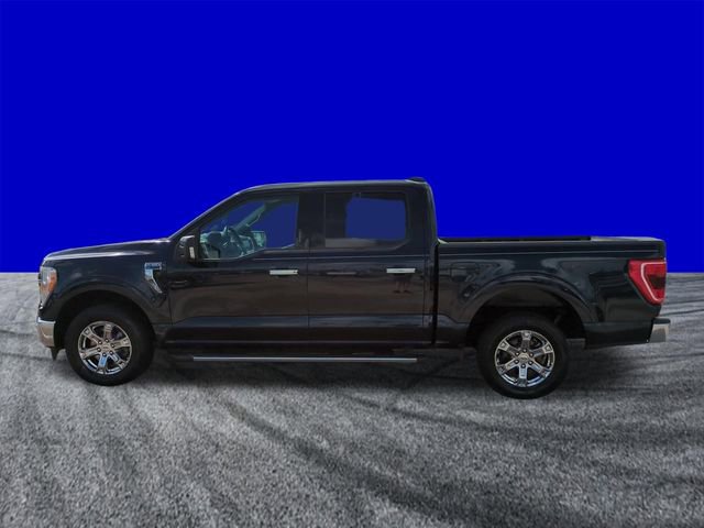 Certified 2021 Ford F150 XLT w/ Equipment Group 301A Mid image 7