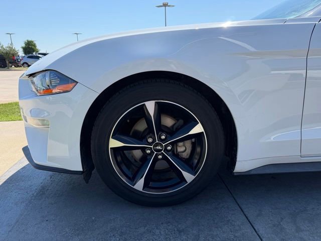 Certified 2019 Ford Mustang Coupe RWD image 4