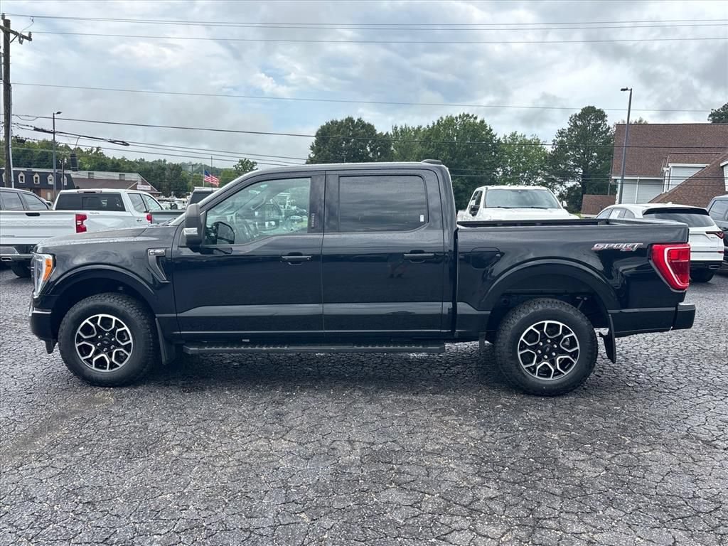 Certified 2023 Ford F150 XLT w/ Equipment Group 302A High AWD/4WD image 4