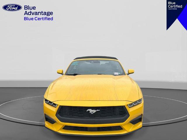 Certified 2024 Ford Mustang Premium RWD image 4