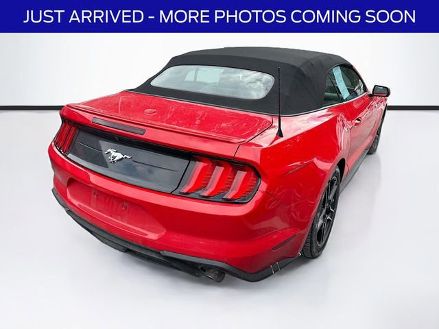 Certified 2023 Ford Mustang Premium w/ Equipment Group 201A image 5