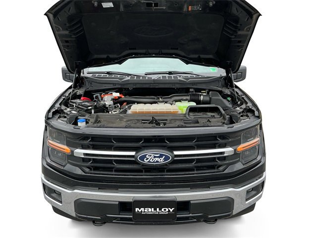 Certified 2024 Ford F150 XLT w/ Mobile Office Package image 20