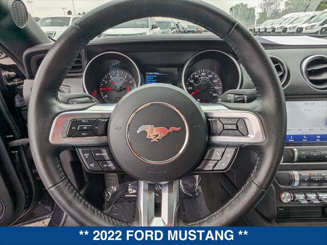 Certified 2022 Ford Mustang EcoBoost Fastback w/ Equipment Group 101A image 13