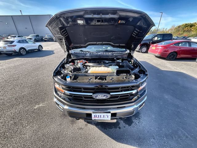 Certified 2024 Ford F150 XLT w/ Mobile Office Package image 10