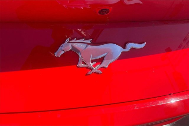 Certified 2024 Ford Mustang Premium image 10