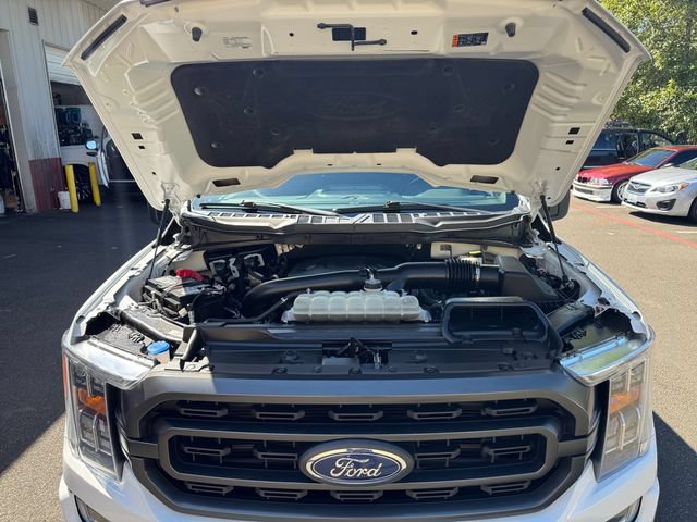 Certified 2023 Ford F150 XLT w/ Equipment Group 302A High AWD/4WD image 19