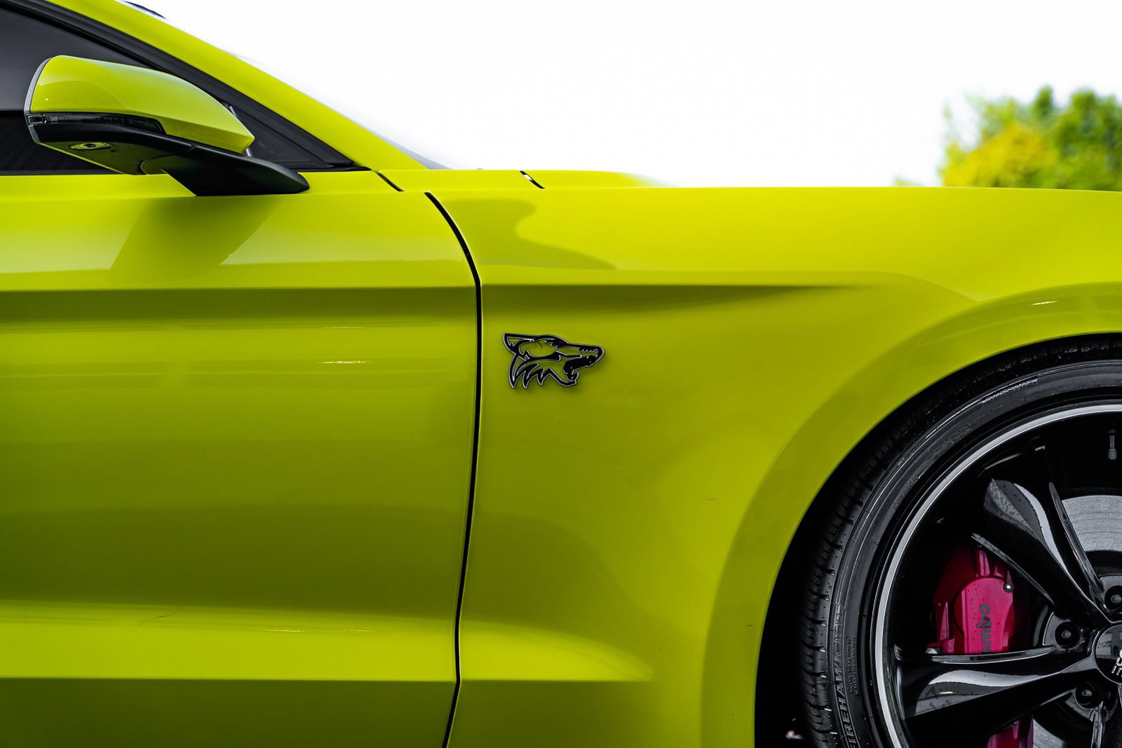 Certified 2021 Ford Mustang GT Premium w/ Equipment Group 401A RWD image 11