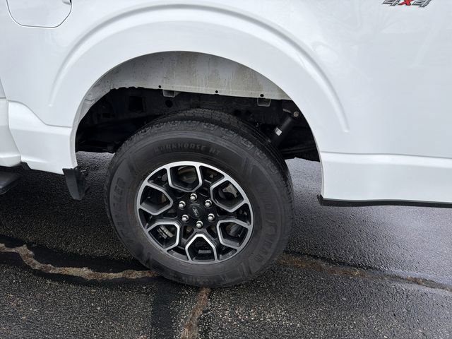 Certified 2023 Ford F150 XLT w/ Equipment Group 302A High image 5
