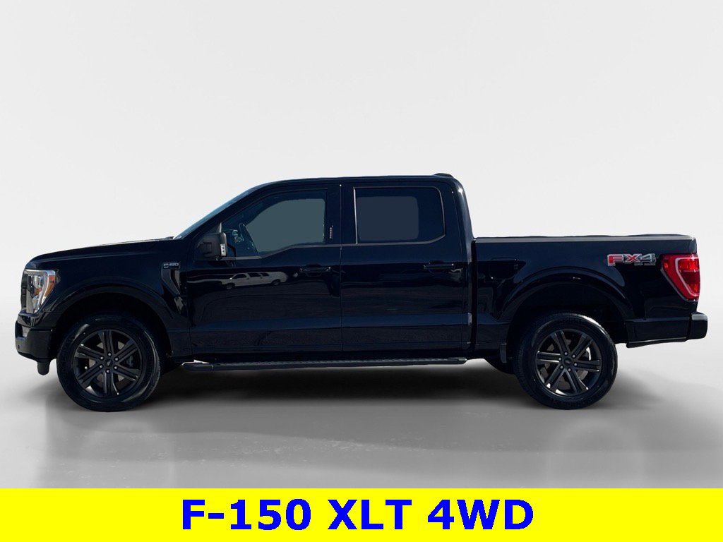 Certified 2021 Ford F150 XLT w/ Equipment Group 302A High image 6