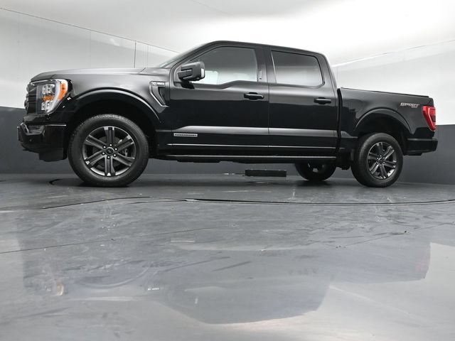 Certified 2023 Ford F150 XLT w/ Equipment Group 302A High AWD/4WD image 41