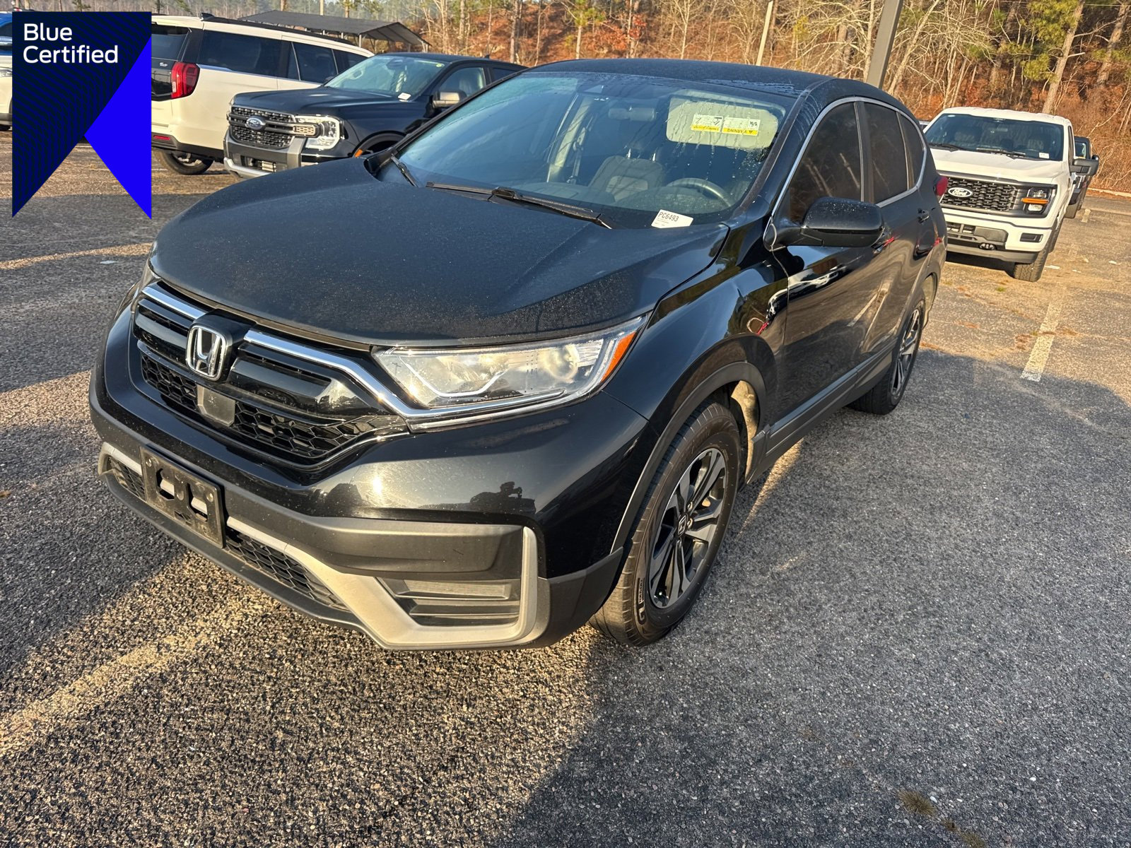 Used 2022 Honda CR-V Special Edition