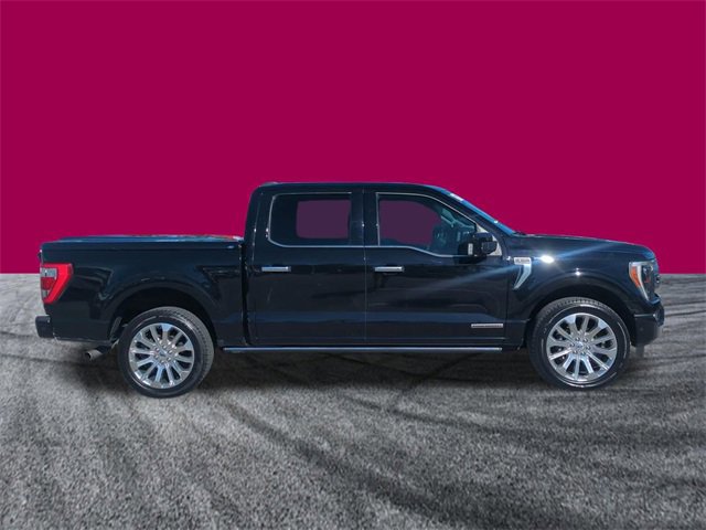 Certified 2023 Ford F150 Limited image 5