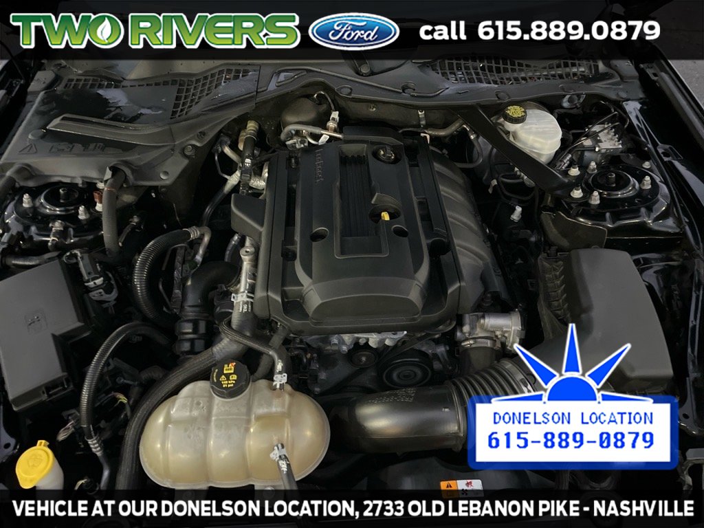 Certified 2018 Ford Mustang Premium w/ Equipment Group 201A image 19