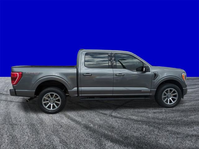 Certified 2023 Ford F150 XLT w/ Equipment Group 302A High image 3