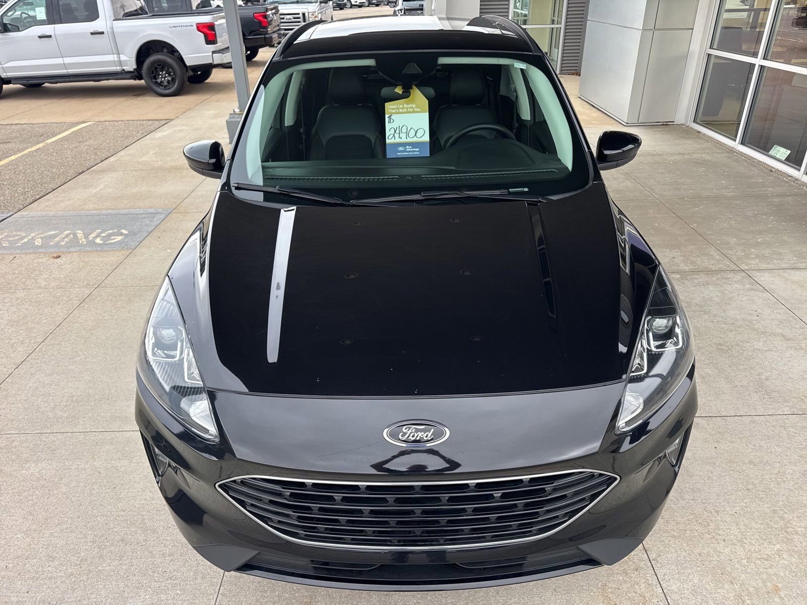 Certified 2022 Ford Escape SEL w/ SEL Stealth AWD Package image 12