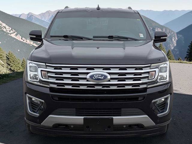 Certified 2019 Ford Expedition Max Limited image 8