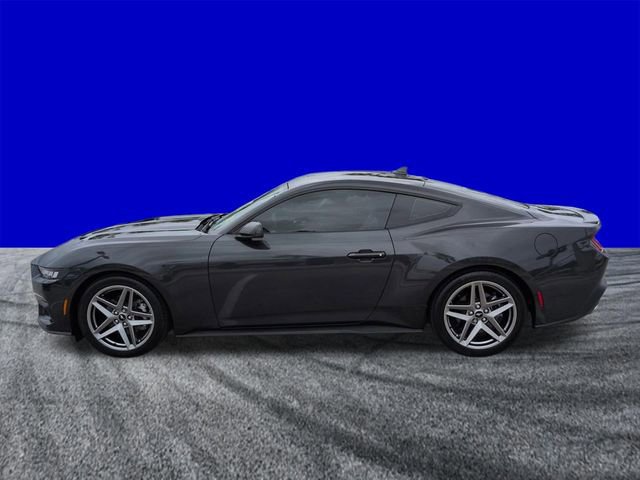 Certified 2024 Ford Mustang Premium image 2