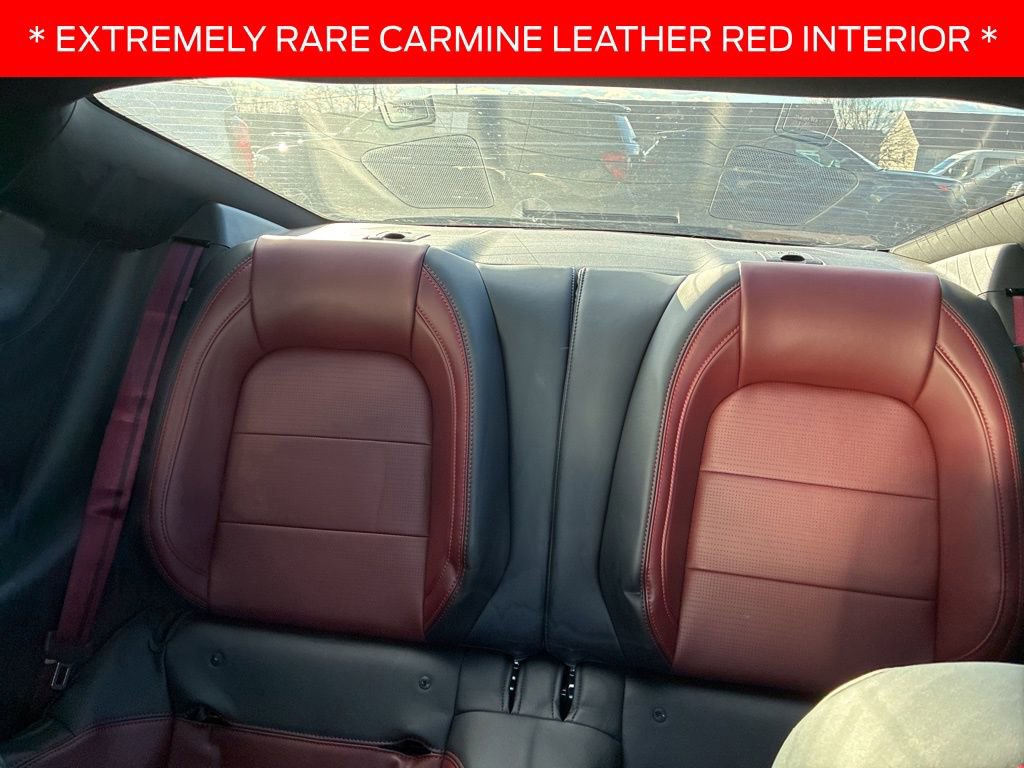 Certified 2024 Ford Mustang GT Premium image 10
