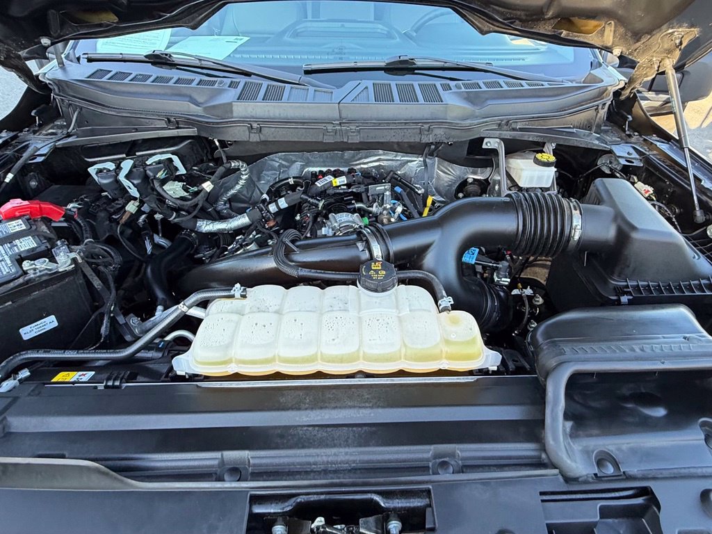 Certified 2024 Ford F150 XL RWD image 29