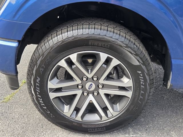 Certified 2023 Ford F150 XL w/ STX Appearance Package AWD/4WD image 15