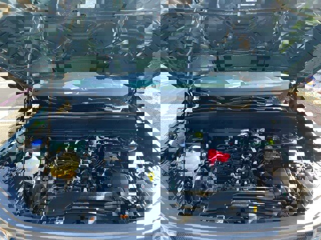 Certified 2024 Ford Bronco Sport Big Bend w/ Convenience Package image 16