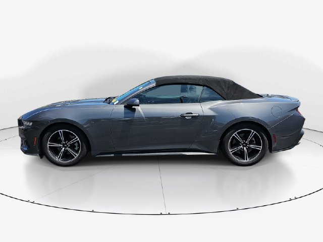Certified 2024 Ford Mustang Premium RWD image 8