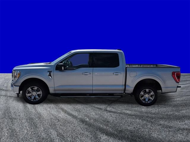 Certified 2021 Ford F150 XLT w/ Equipment Group 302A High image 2