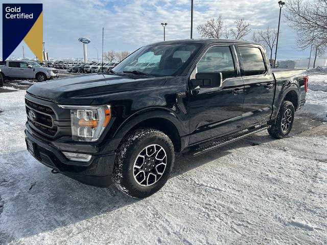 Certified 2023 Ford F150 XLT w/ Equipment Group 302A High image 1