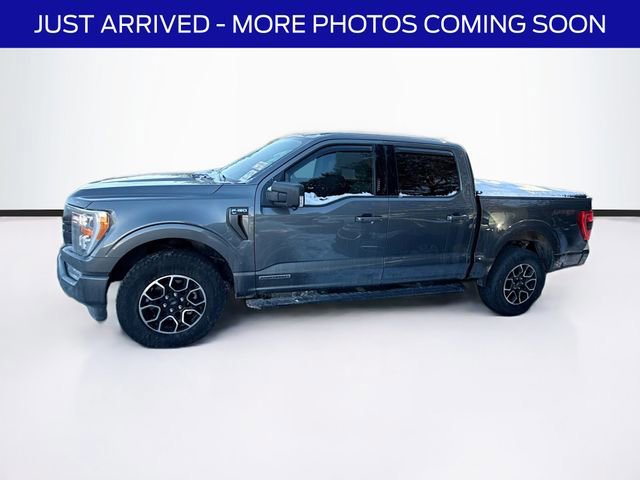 Certified 2023 Ford F150 XLT w/ Equipment Group 302A High image 2