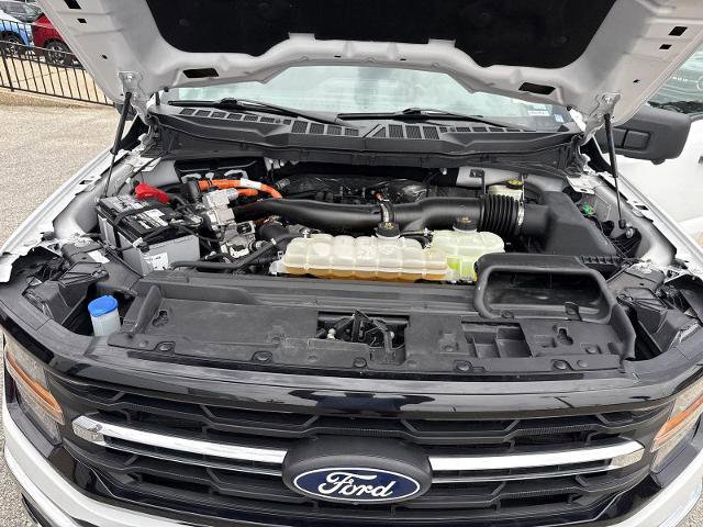 Certified 2024 Ford F150 XLT w/ Mobile Office Package AWD/4WD image 29