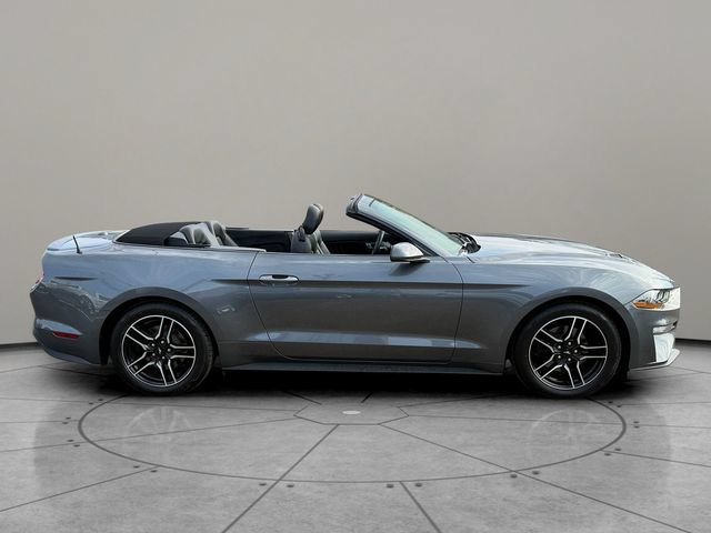 Certified 2022 Ford Mustang Premium w/ Ford Safe & Smart Package RWD image 11