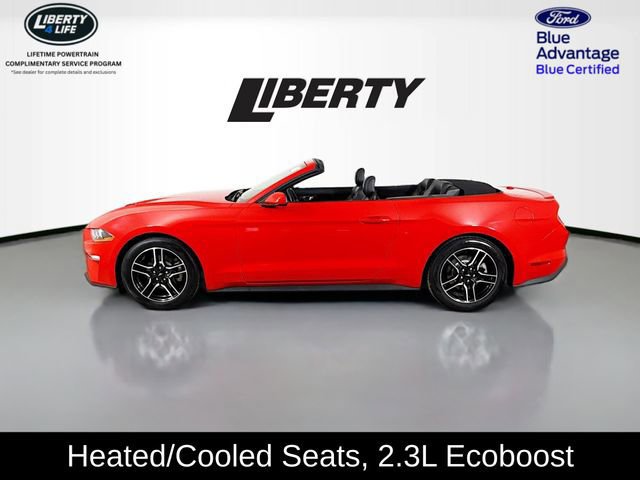 Certified 2022 Ford Mustang Premium image 6