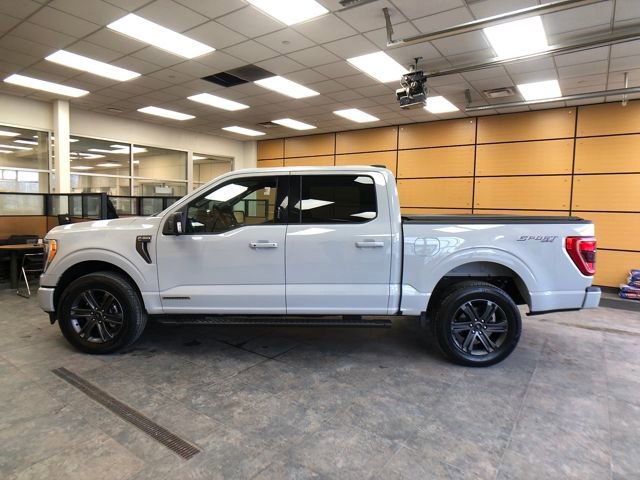 Certified 2023 Ford F150 XLT w/ Equipment Group 302A High image 2