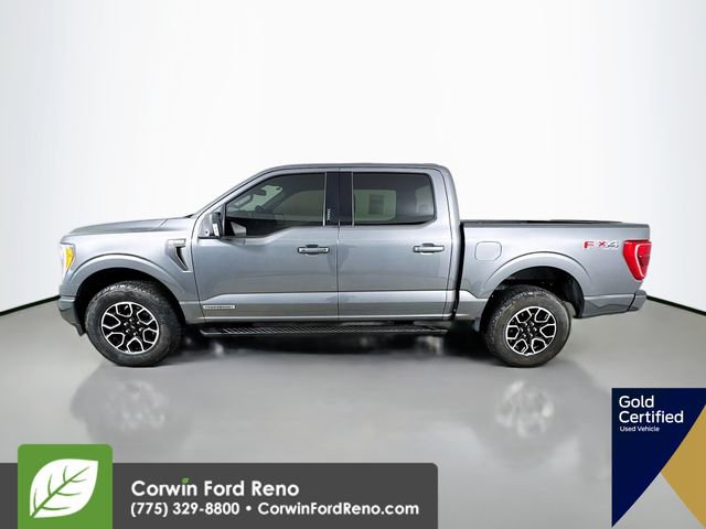 Certified 2023 Ford F150 XLT w/ Equipment Group 302A High image 5