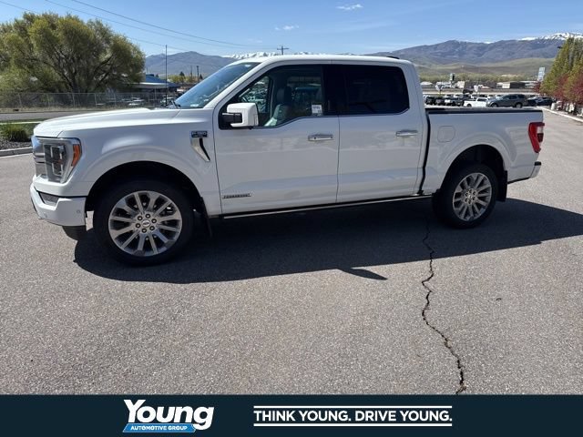 Certified 2023 Ford F150 Limited AWD/4WD image 2