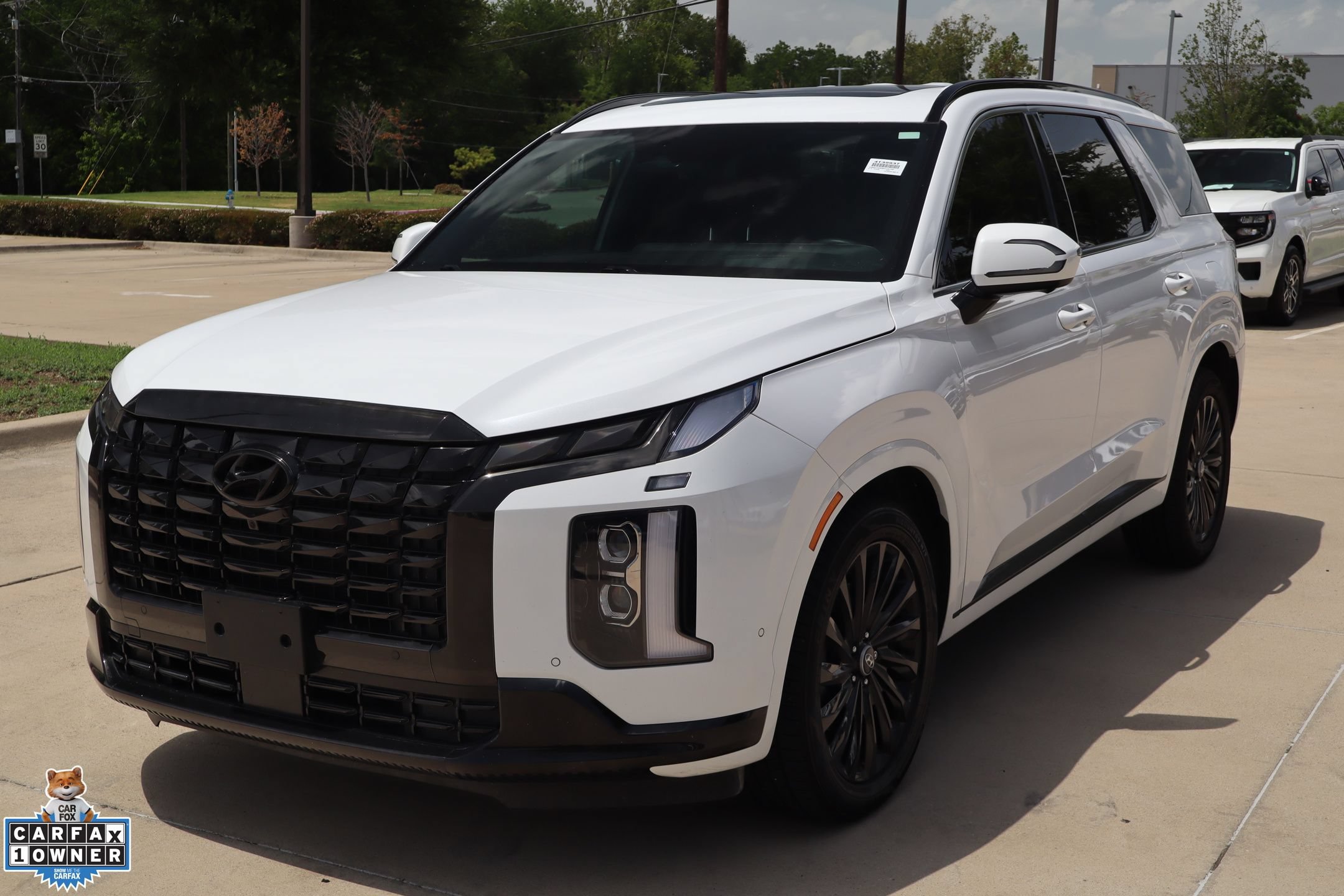 Used 2024 Hyundai Palisade Calligraphy AWD/4WD image 8