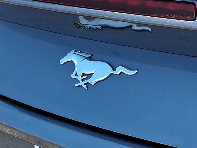 Certified 2024 Ford Mustang Premium RWD image 29