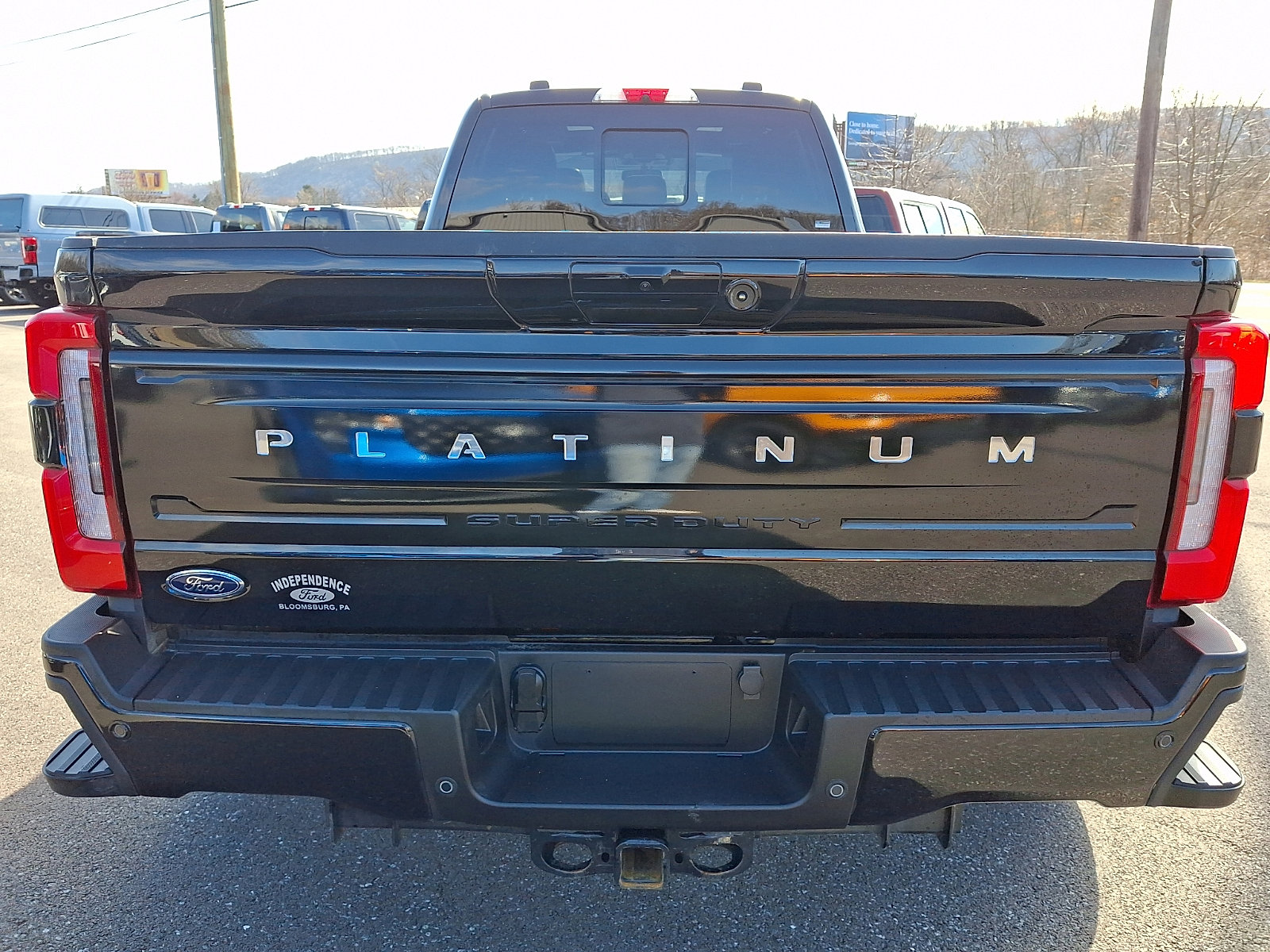 Certified 2025 Ford F350 Platinum image 9