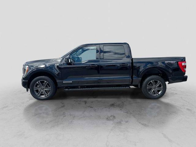 Certified 2023 Ford F150 Lariat w/ Equipment Group 502A High AWD/4WD image 3