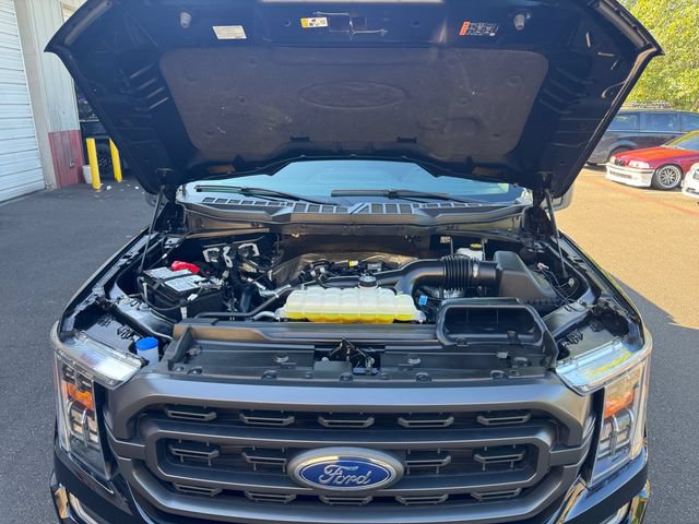 Certified 2023 Ford F150 XLT w/ Equipment Group 302A High AWD/4WD image 19