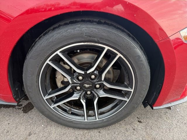 Certified 2021 Ford Mustang Coupe w/ Equipment Group 101A image 7