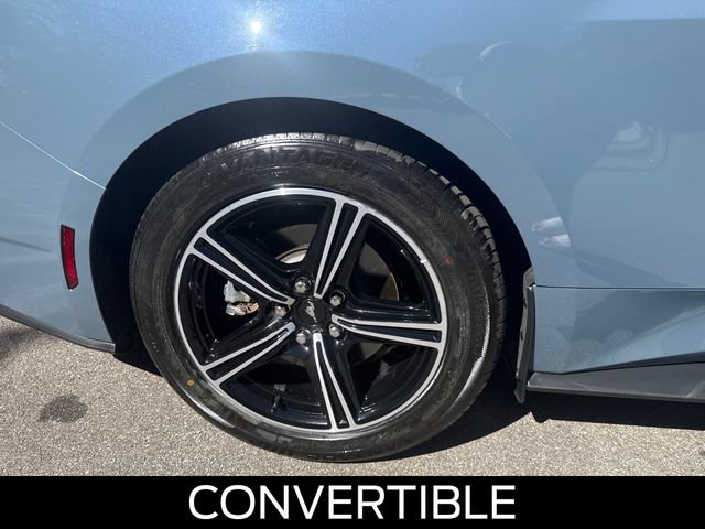 Certified 2025 Ford Mustang Premium RWD image 16