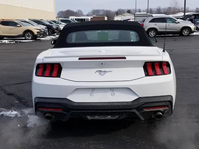 Certified 2025 Ford Mustang Premium w/ Wheel & Stripe Package image 3