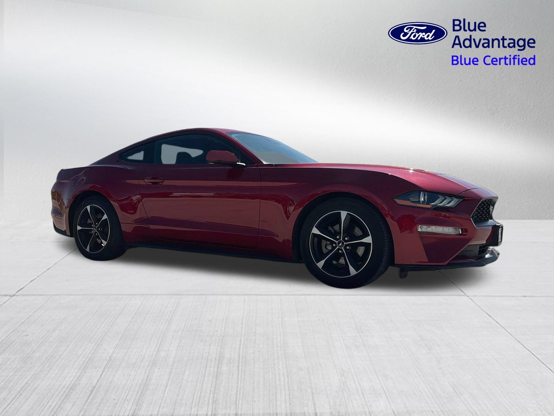 Certified 2023 Ford Mustang Coupe RWD image 4