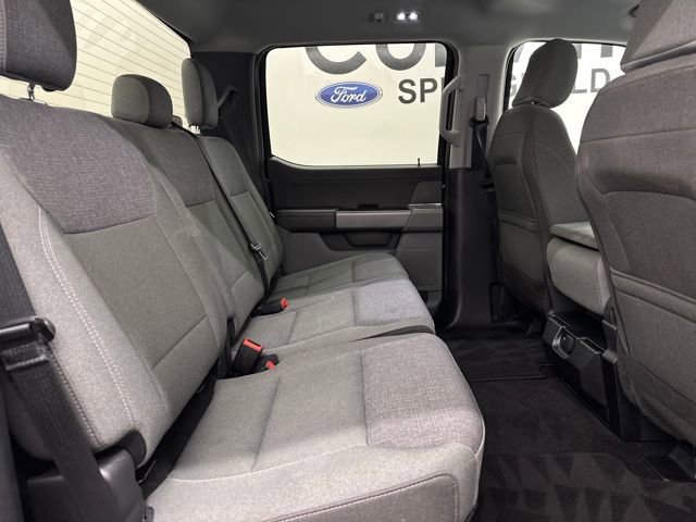 Certified 2025 Ford F150 XLT w/ Equipment Group 301A Standard image 13