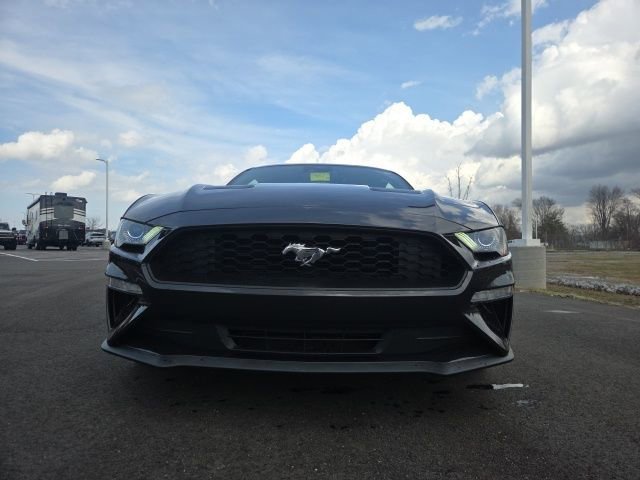 Certified 2023 Ford Mustang EcoBoost w/ Equipment Group 101A image 7