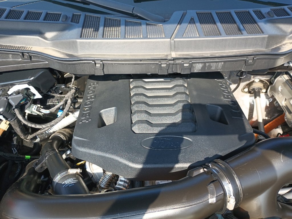 Certified 2023 Ford F150 XLT w/ Equipment Group 302A High image 10